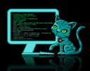Coder cat cat